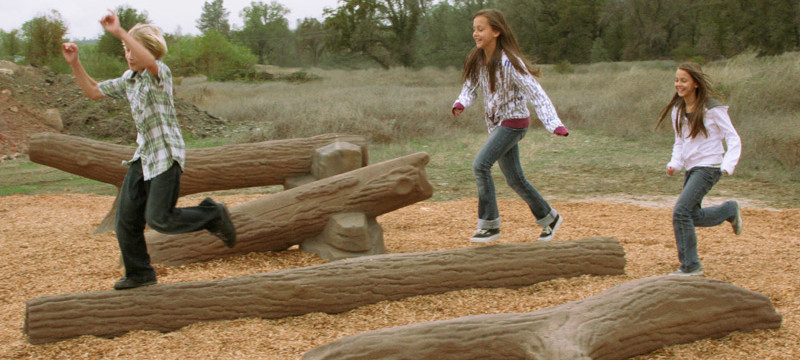 Nature's Choice Log Playground Equipment