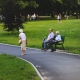 Designing a Senior Park